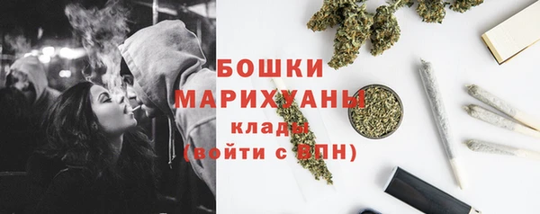 мяу мяу мука Бородино