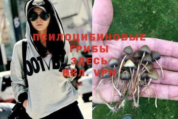 мяу мяу мука Бородино