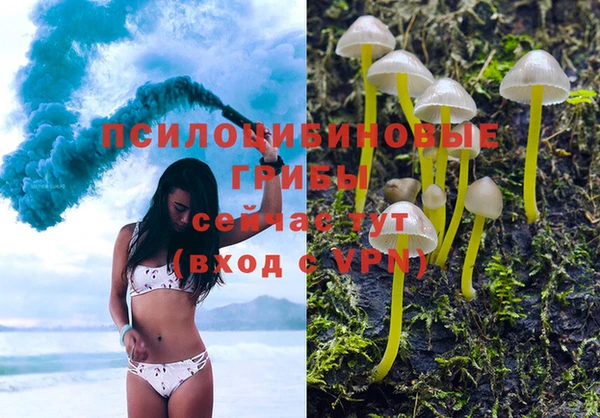 мяу мяу мука Бородино
