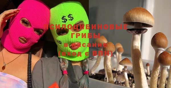 а пвп мука Бронницы
