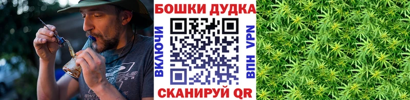 Бошки Шишки MAZAR Калининград